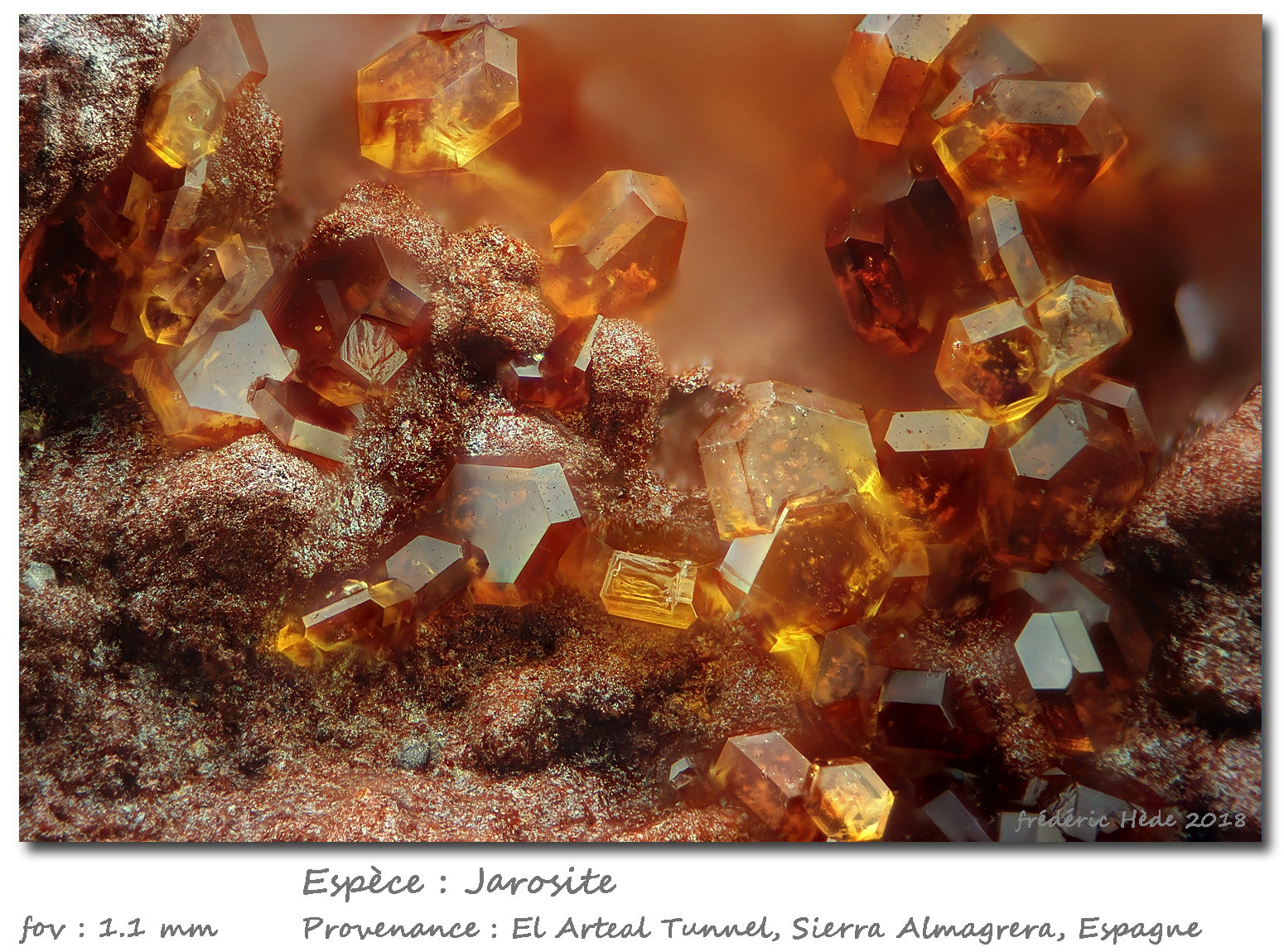 jarosite
(Autor: ploum)