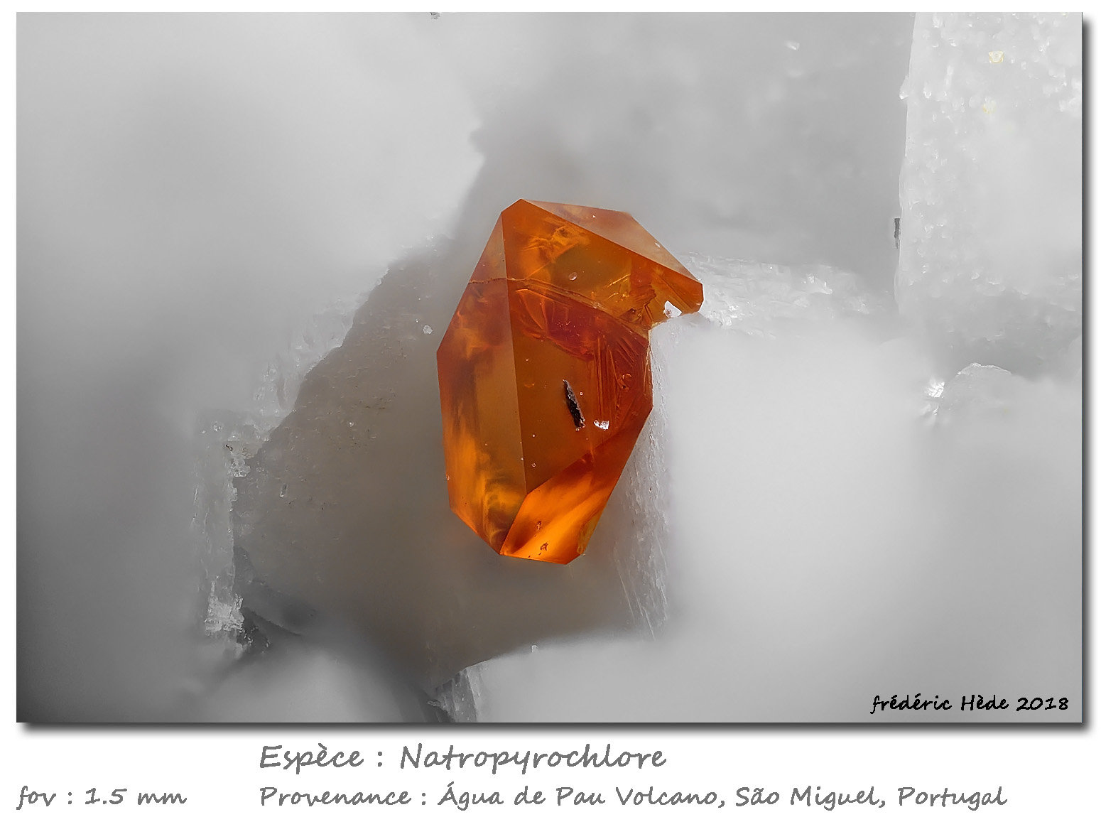 Natropyrochlore
fov 1.5 mm
(Autor: ploum)