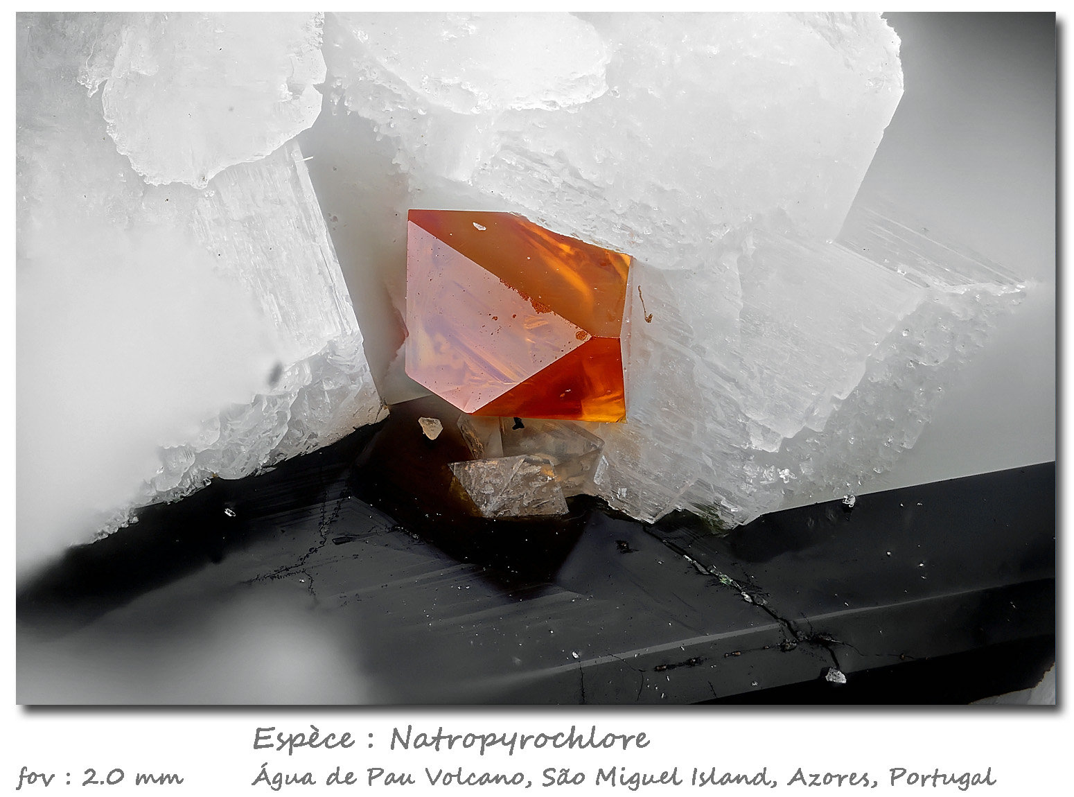 Natropyrochlore
fov 2 mm
(Autor: ploum)