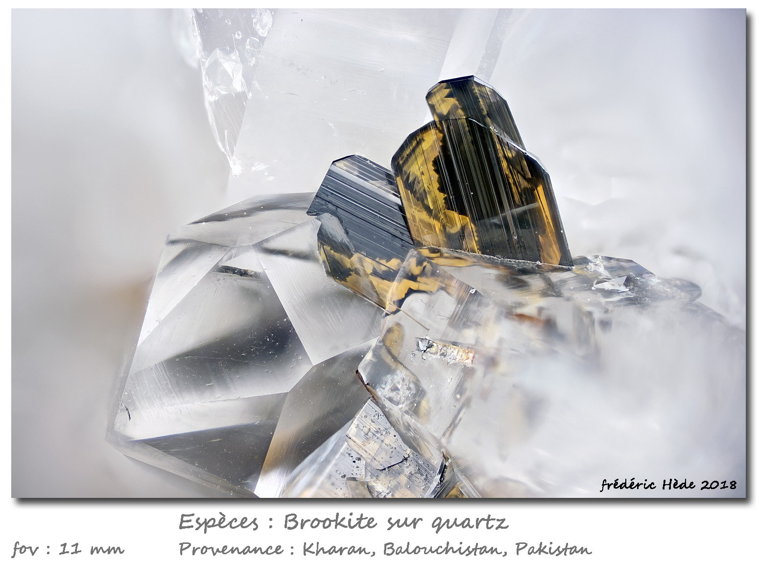 Brookite avec Quartz
fov 11 mm
(Autor: ploum)