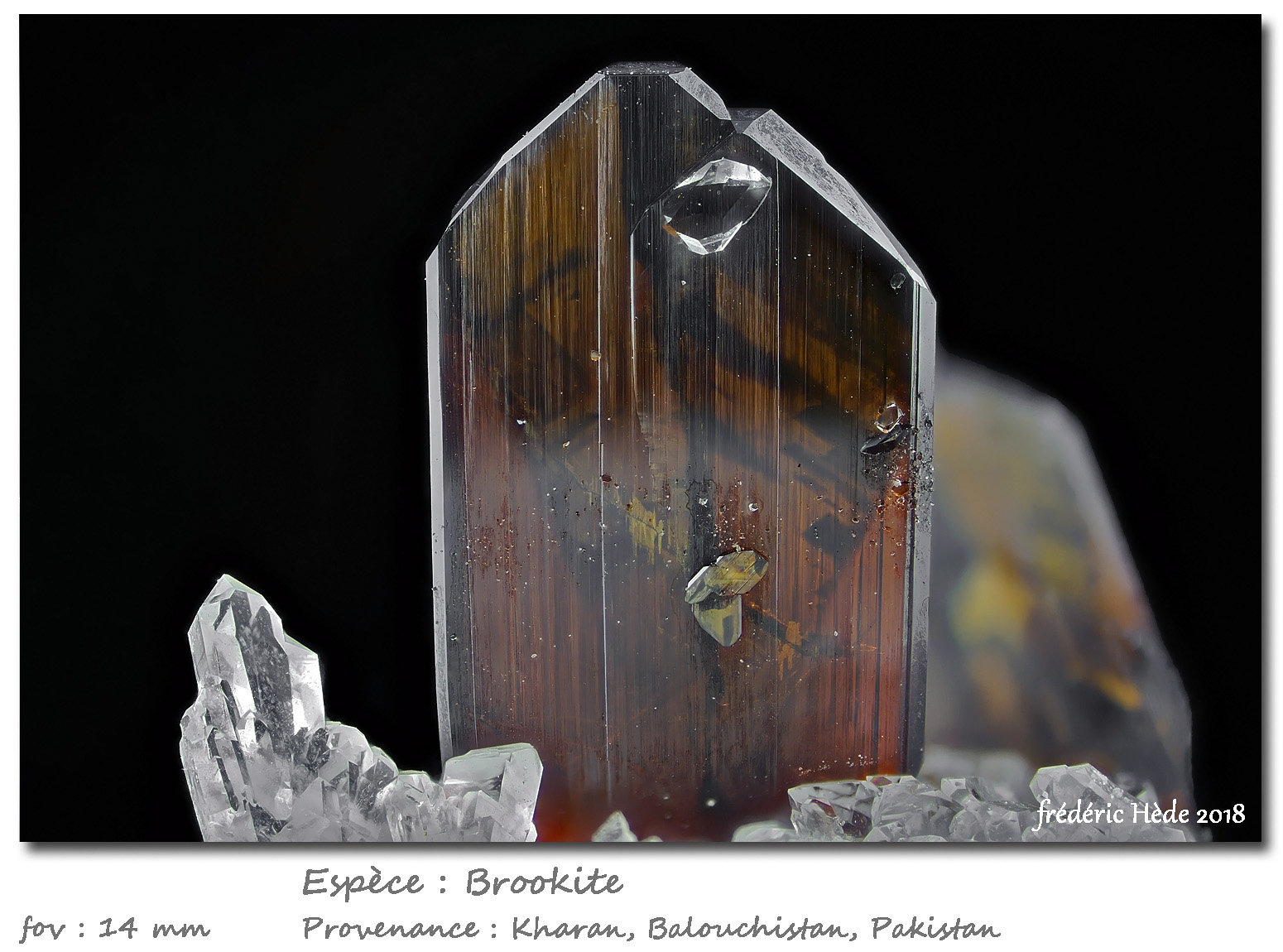 Brookite
fov 14 mm
(Autor: ploum)