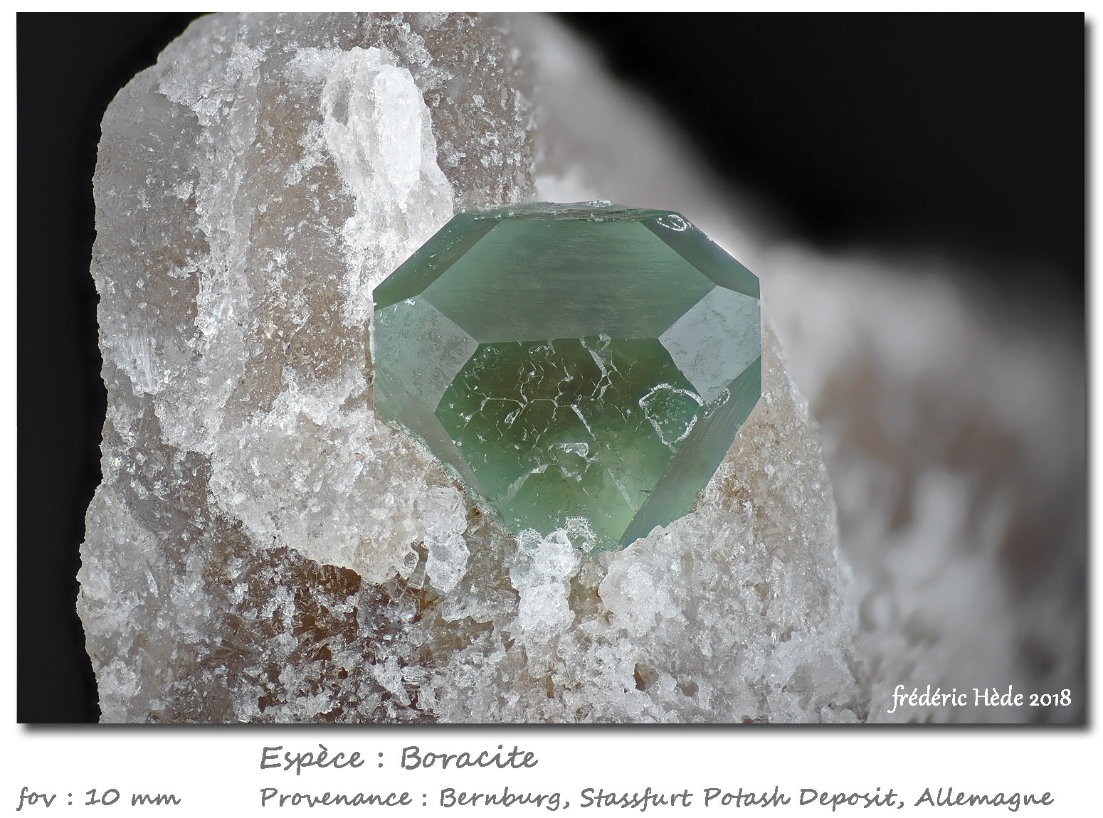 Boracite
fov 10 mm
(Autor: ploum)