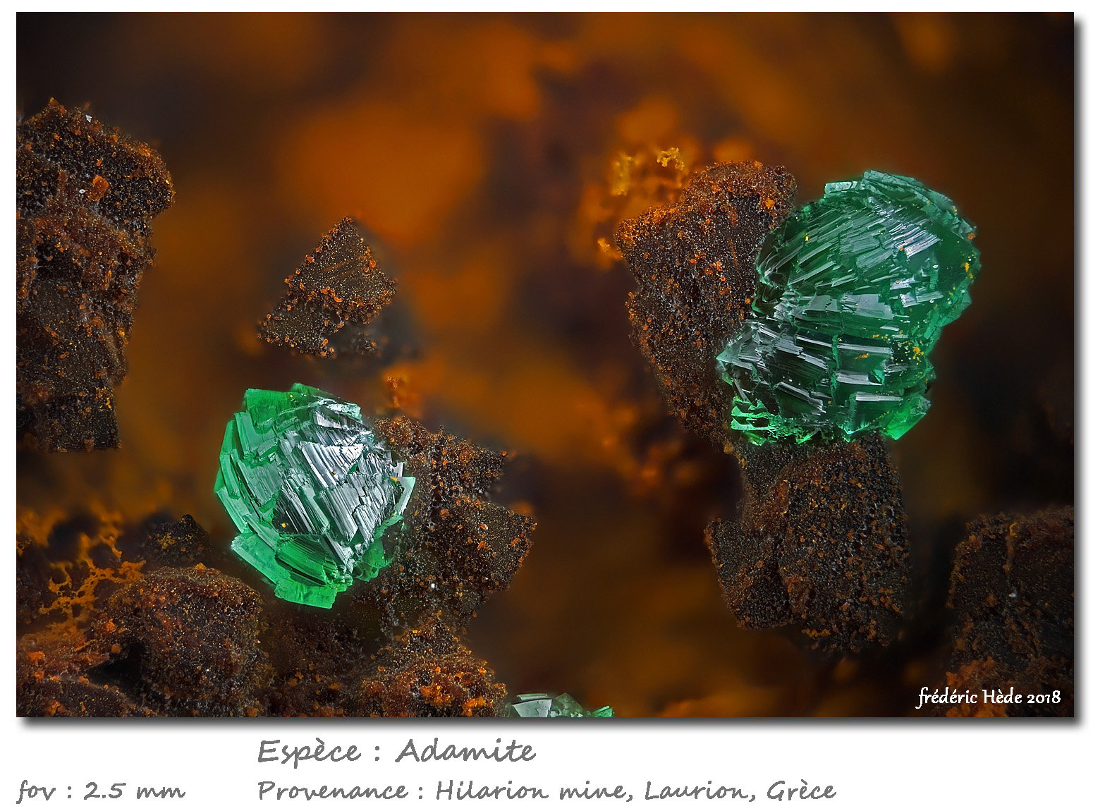 Adamite
fov 2.5 mm
(Autor: ploum)