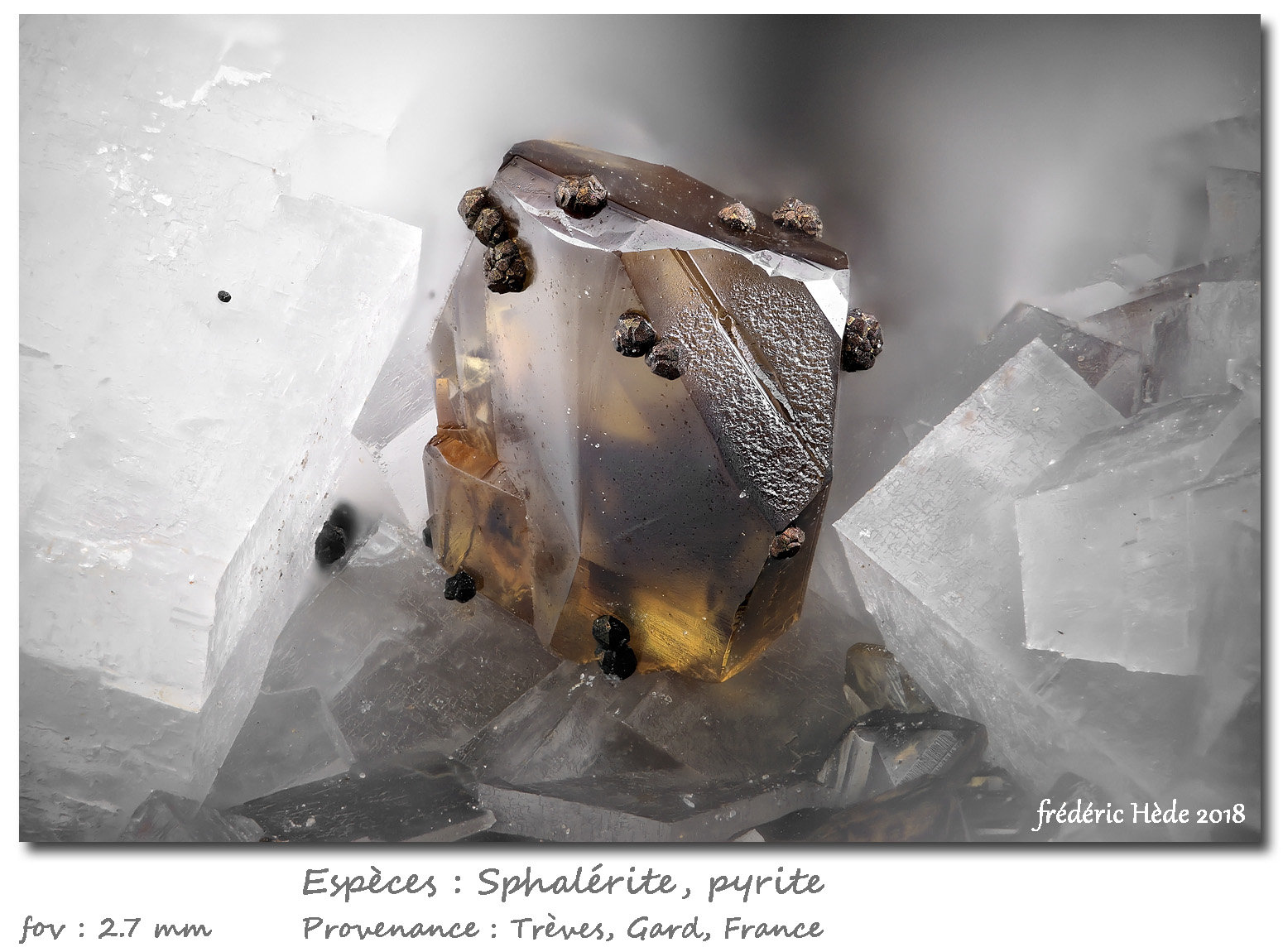 Sphalerite
fov 2.7 mm
(Autor: ploum)
