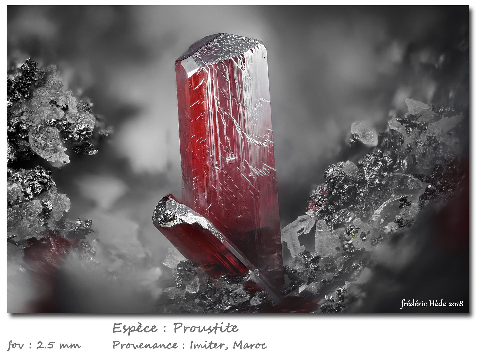 Proustite
fov 2.5 mm
(Autor: ploum)