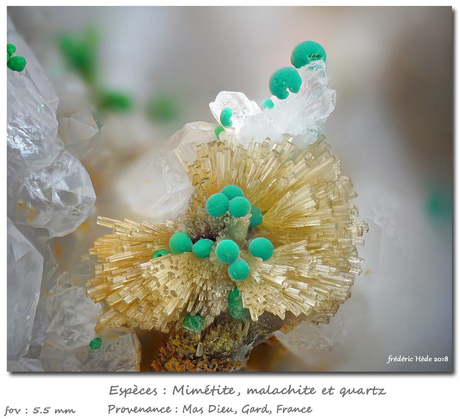 Mimetite and malachite
fov 5.5 mm
(Autor: ploum)