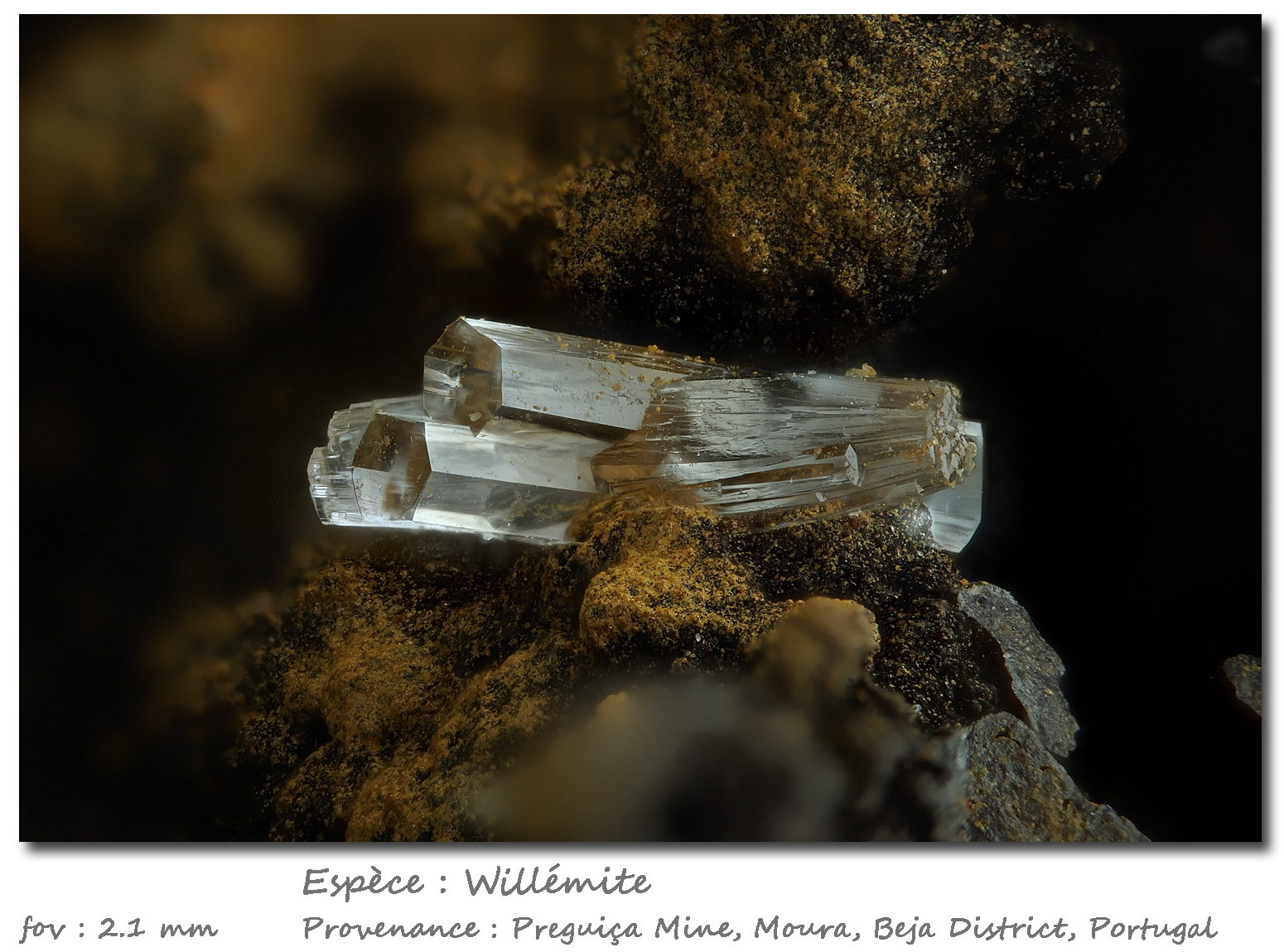 Willemite
fov 2.1 mm
(Autor: ploum)