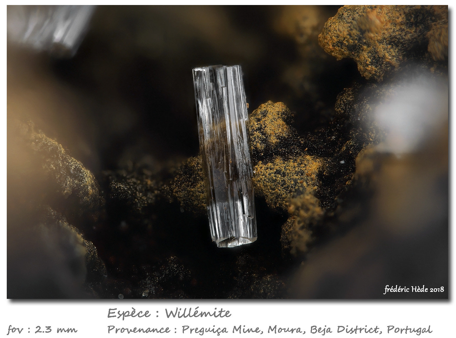 Willemite
fov 2.3 mm
(Autor: ploum)