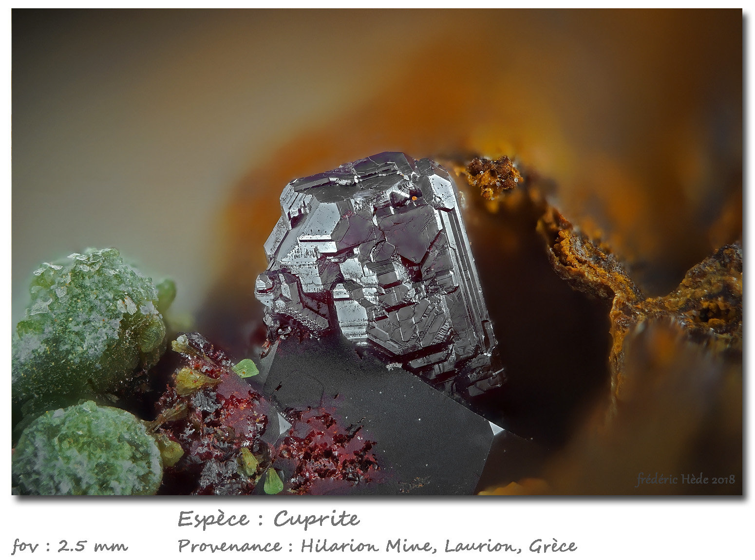 Cuprite
fov 2.5 mm
(Autor: ploum)