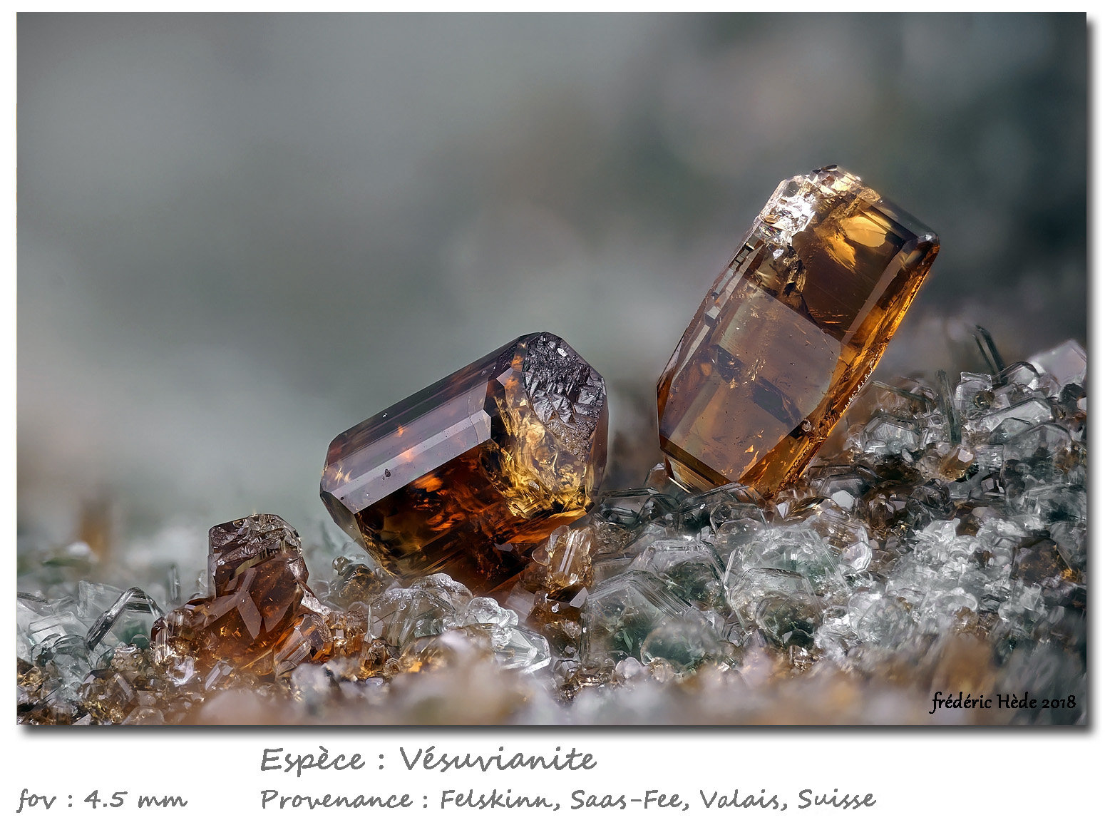 Vesuvianite
fov 4.5 mm
(Autor: ploum)