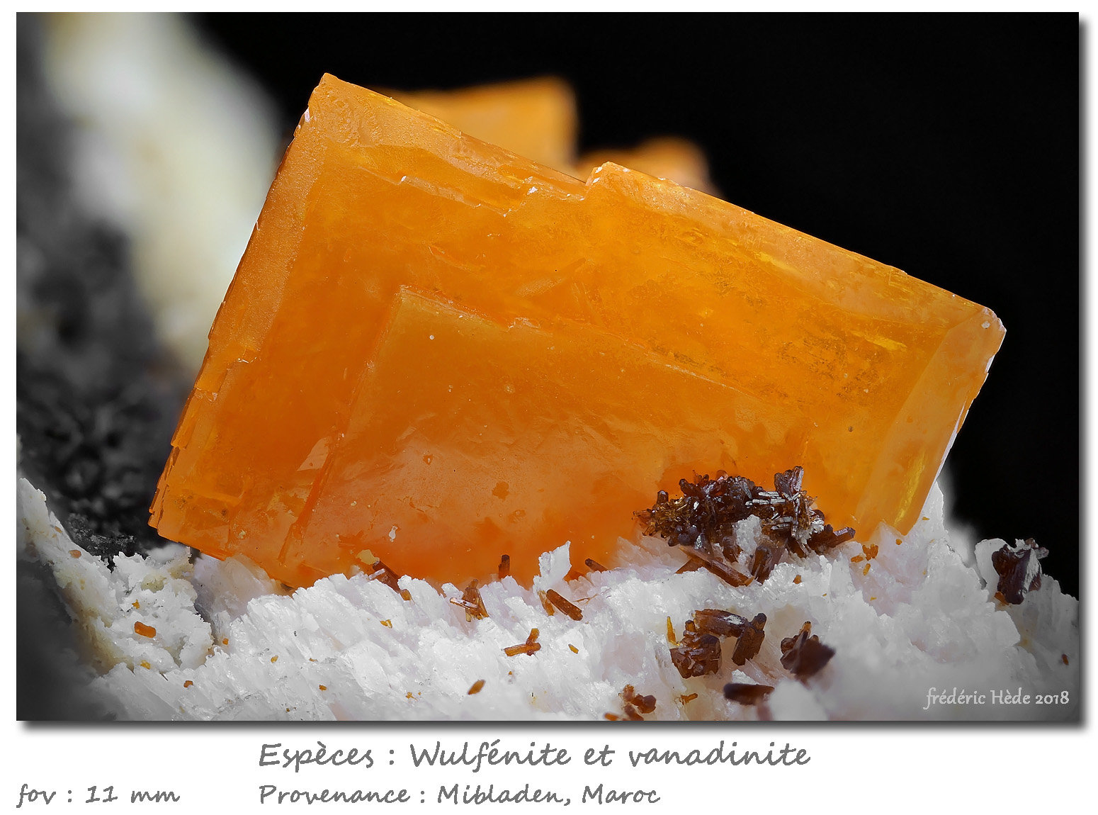 Wulfenite and Vanadinite
fov 11 mm
(Autor: ploum)