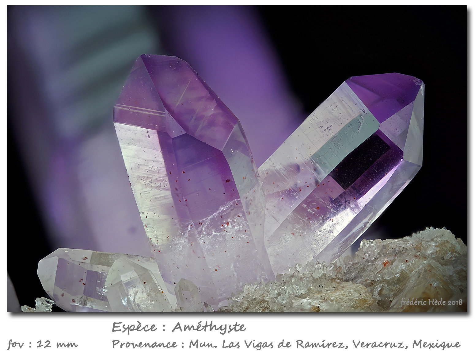 Quartz (variety amethyst)
fov 12 mm
(Autor: ploum)