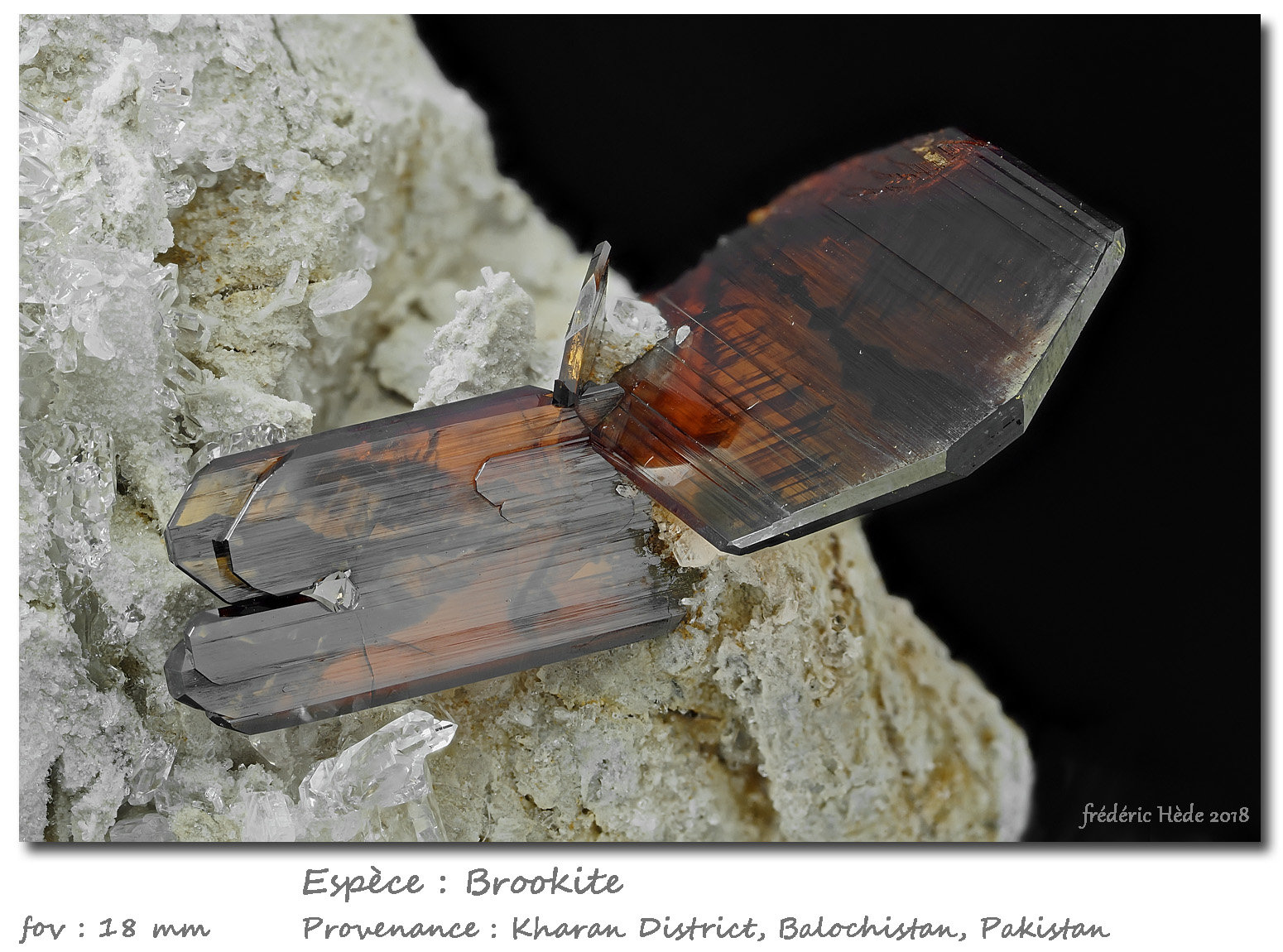 Brookite
fov 18 mm
(Autor: ploum)