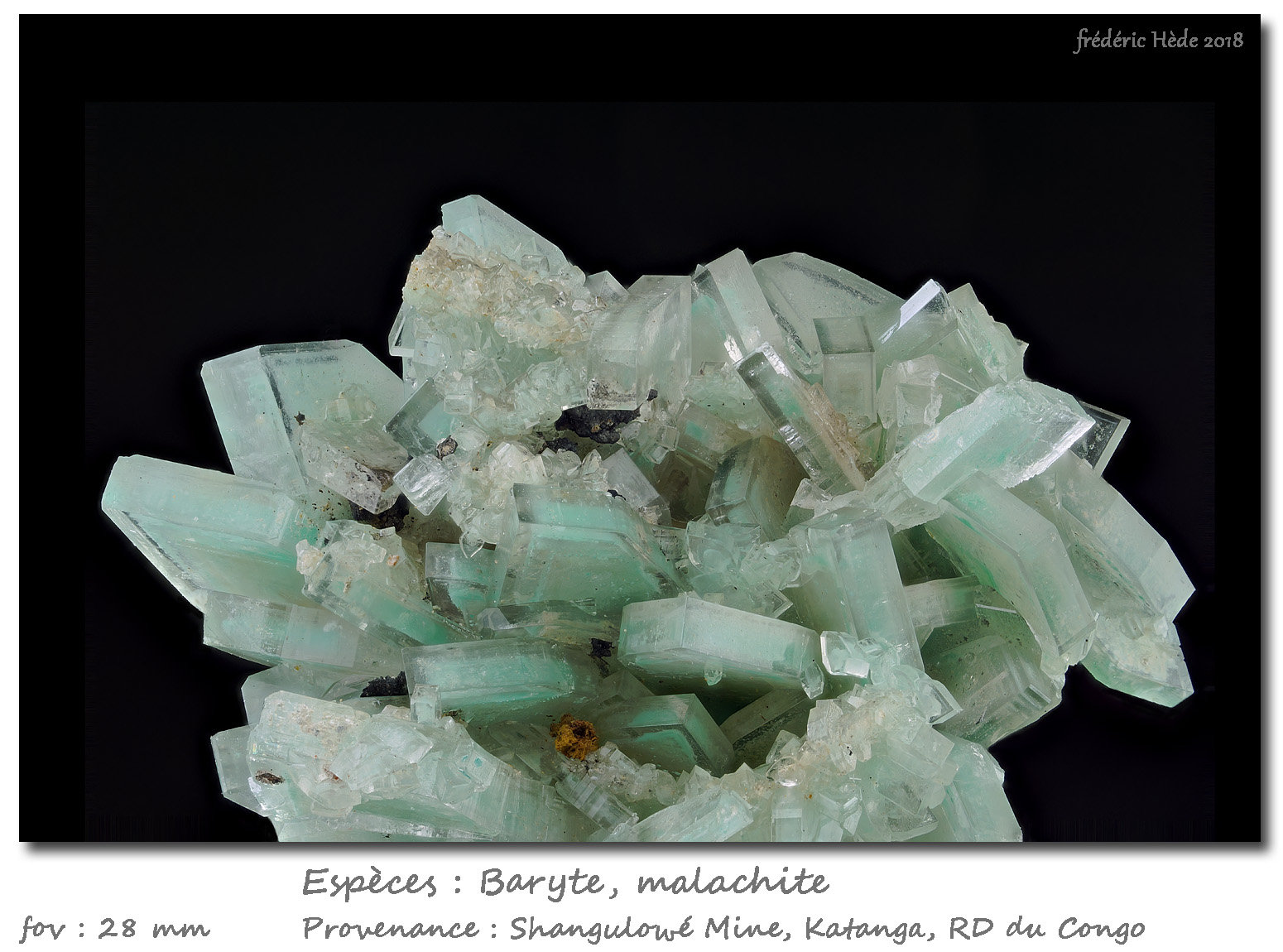 Baryte, Malachite
fov 28 mm
(Autor: ploum)