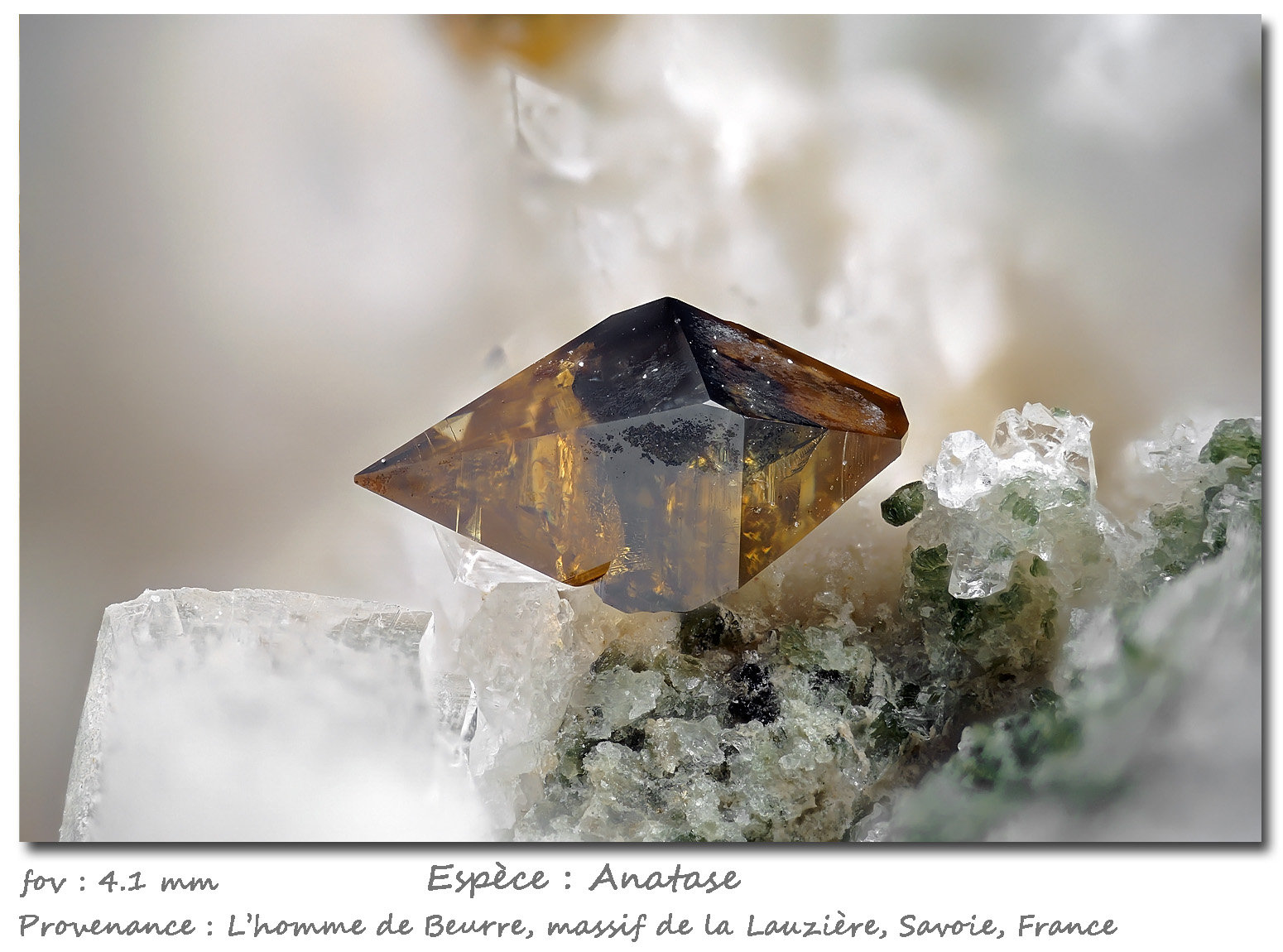 Anatase
fov 4.1 mm
(Autor: ploum)