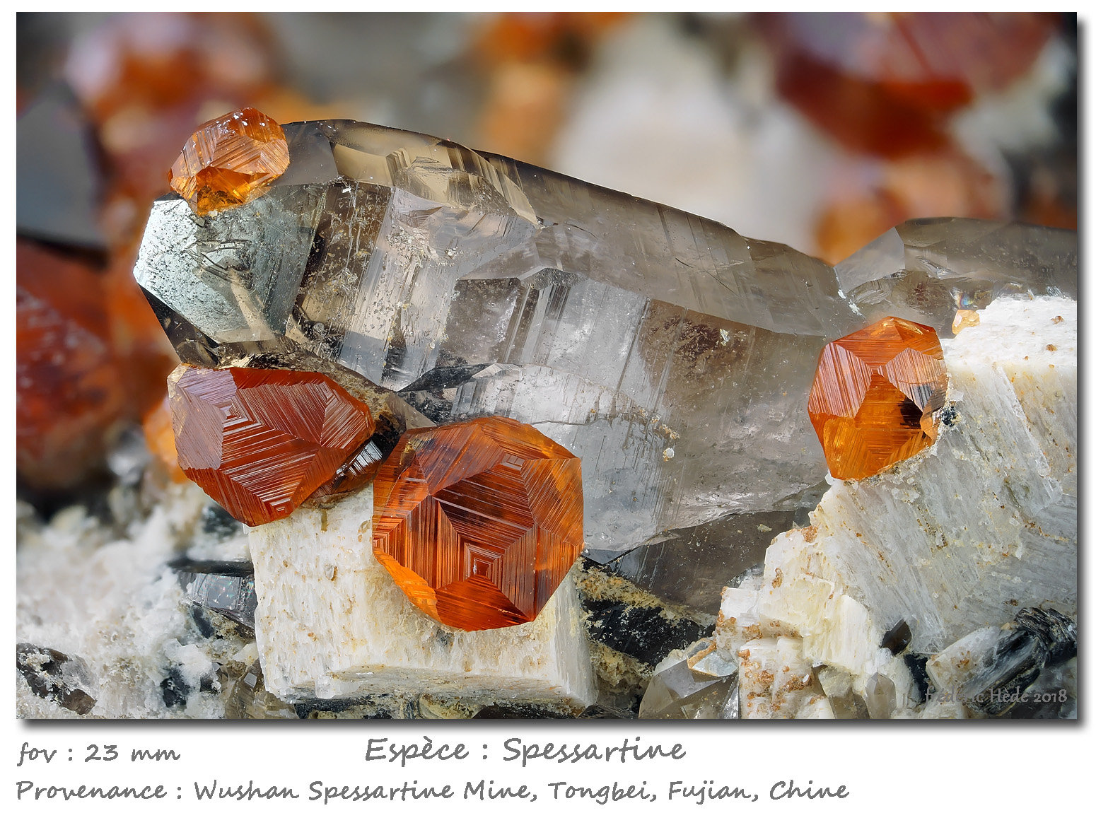 Spessartine on Quartz
fov 23 mm
(Autor: ploum)