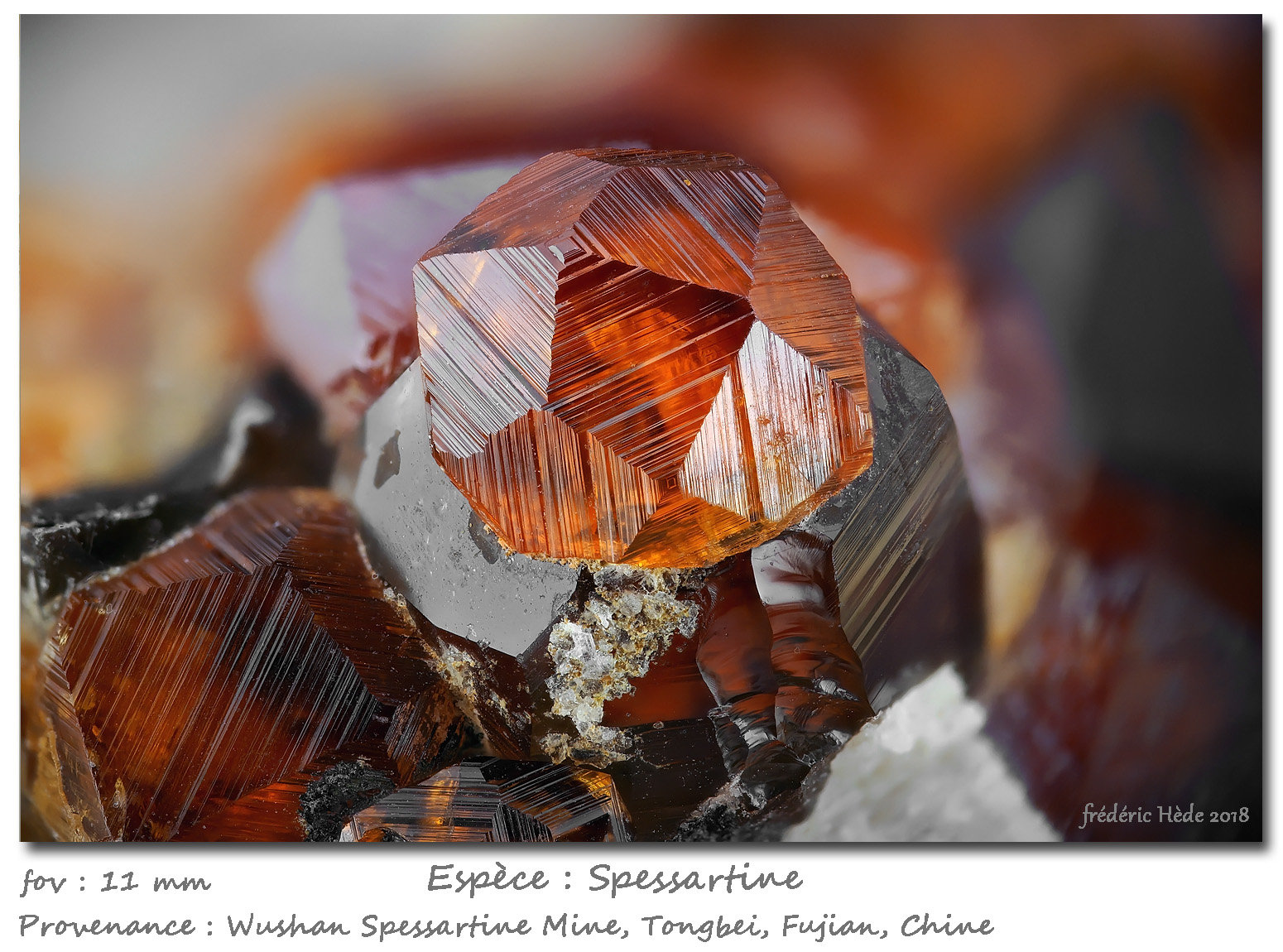 Spessartine
fov 11 mm
(Autor: ploum)