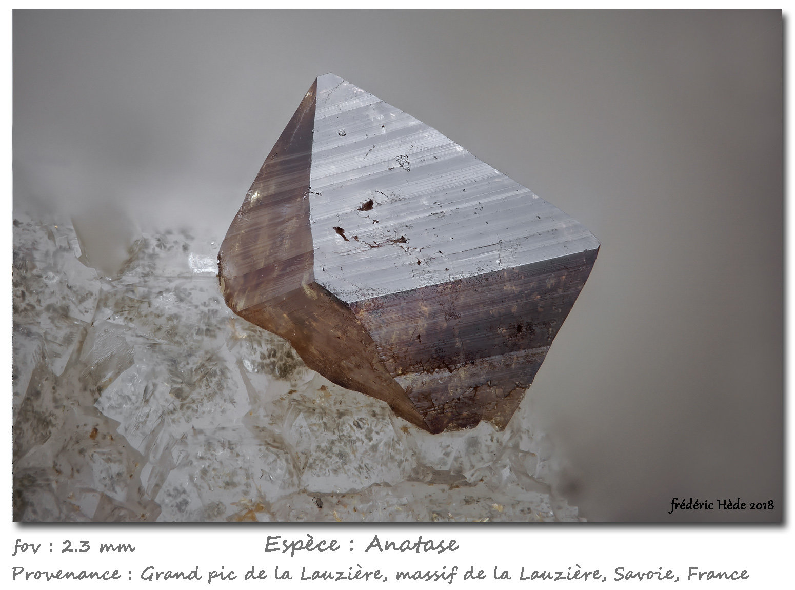 Anatase on Quartz
fov 2.3 mm
(Autor: ploum)