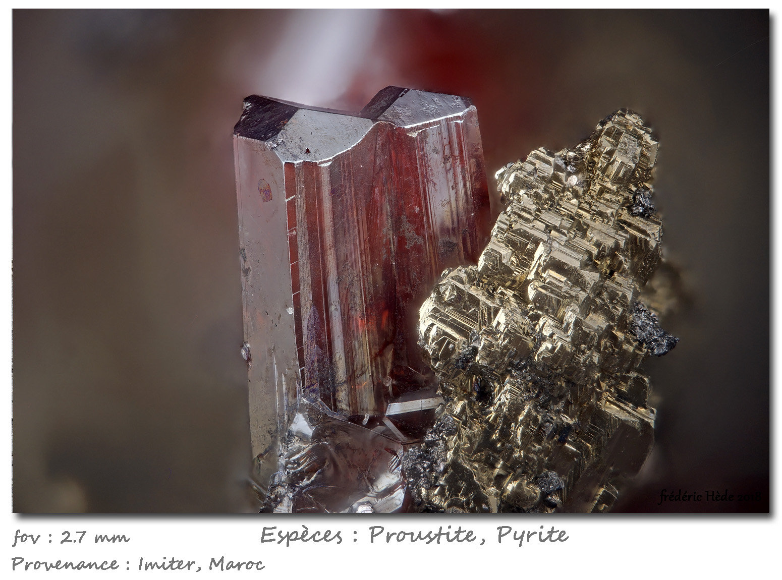 Proustite with Pyrite
fov 2.3 mm
(Autor: ploum)