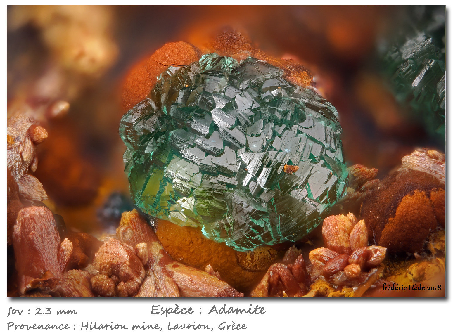 Adamite
fov 2.3 mm
(Autor: ploum)