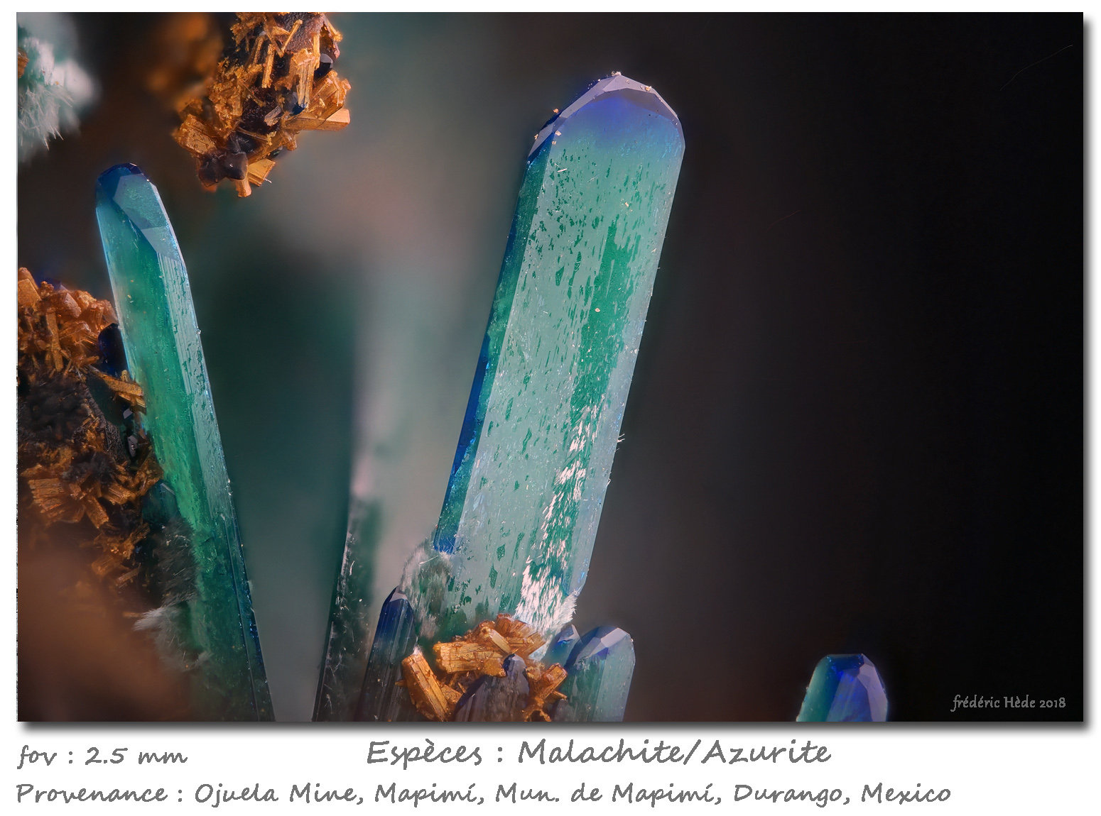Azurite
fov 2.5 mm
(Autor: ploum)
