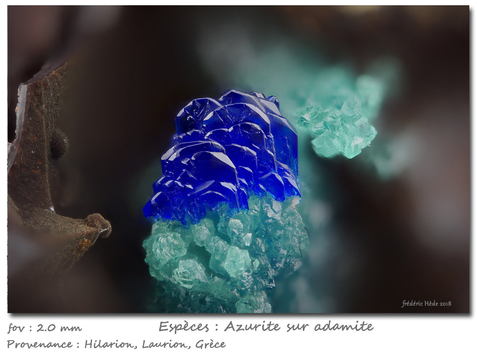 Azurite on Adamite
fov 2.0 mm
(Autor: ploum)