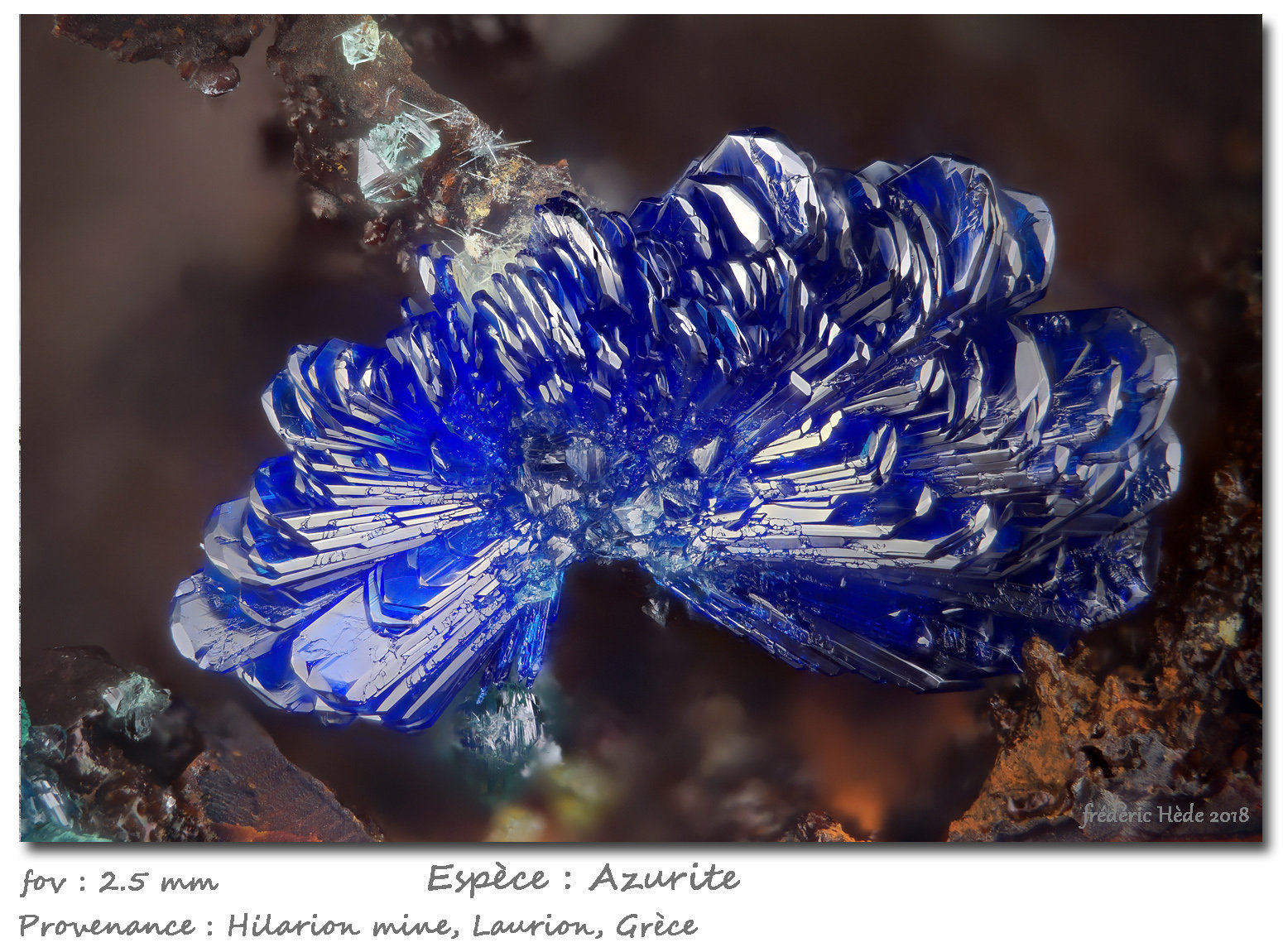 Azurite
fov 2.5 mm
(Autor: ploum)