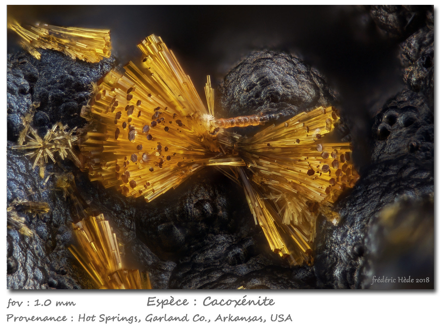Cacoxenite
fov 1 mm
(Autor: ploum)