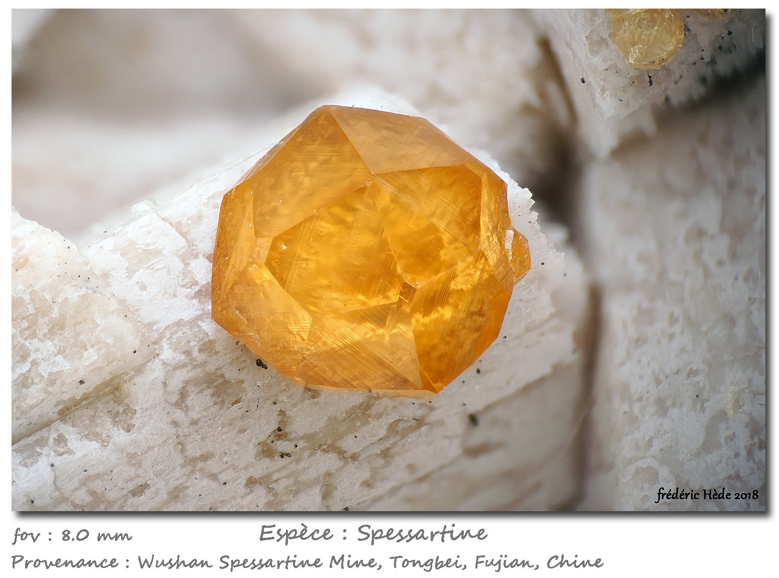 Spessartine
fov 8 mm
(Autor: ploum)