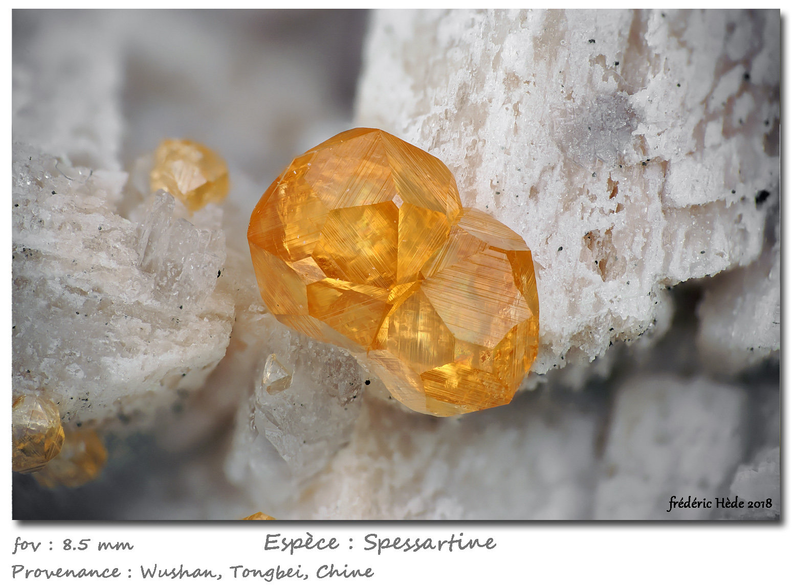 Spessartine
fov 8.5 mm
(Autor: ploum)
