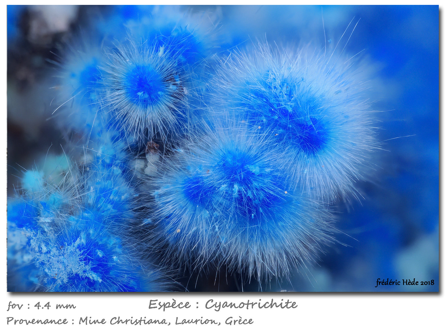 Cyanotrichite
fov 4.4 mm
(Autor: ploum)