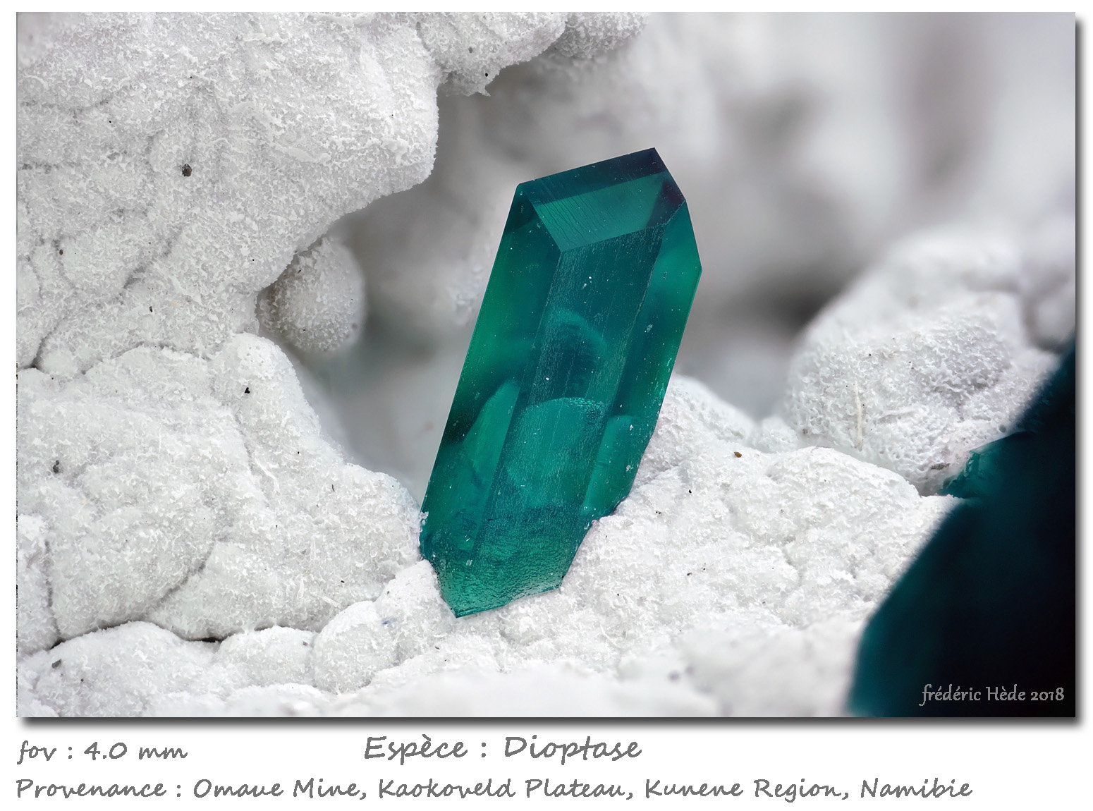 Dioptase
fov 4 mm
(Autor: ploum)