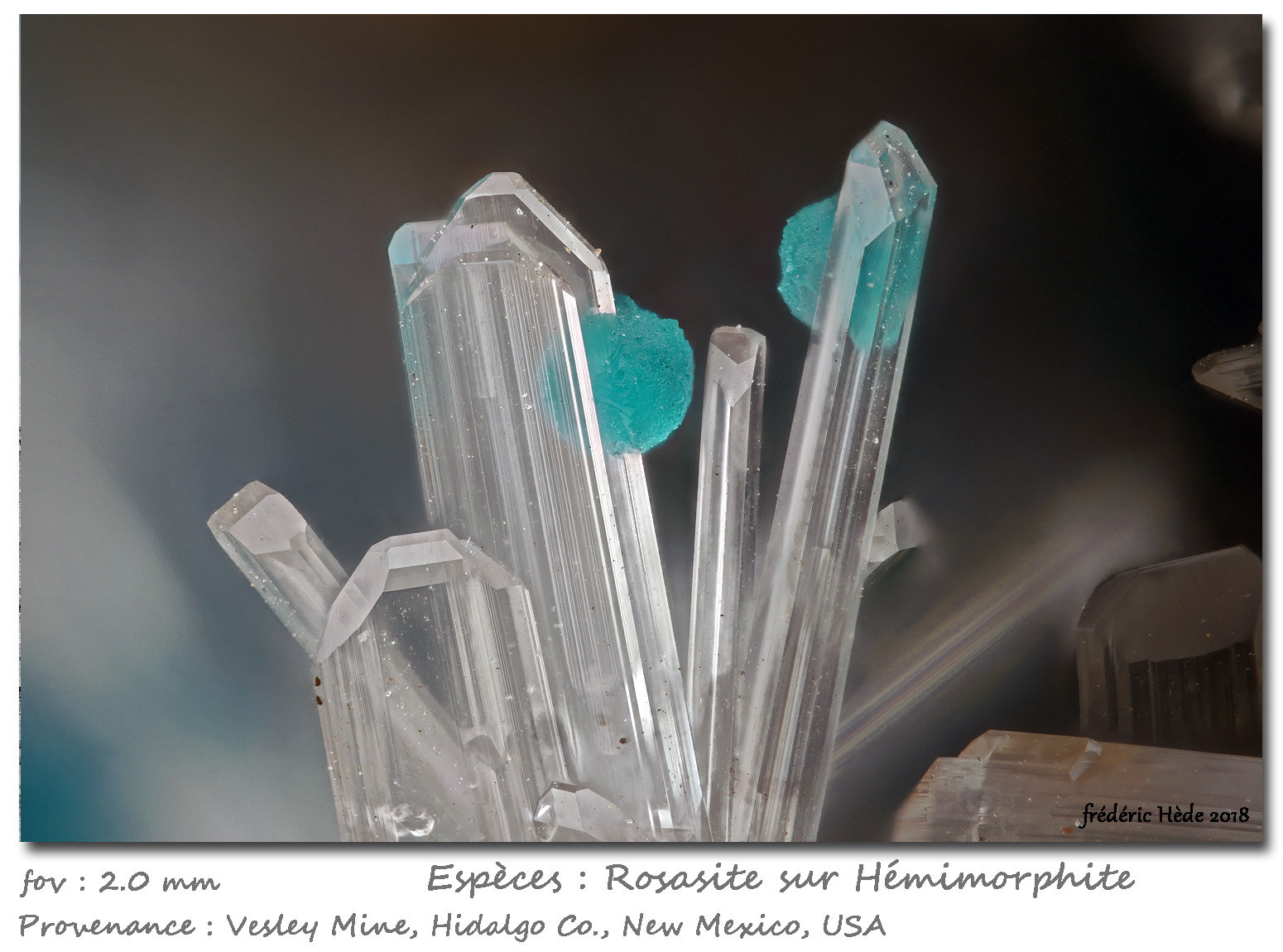 Rosasite and Hemimorphite
fov 2 mm
(Autor: ploum)