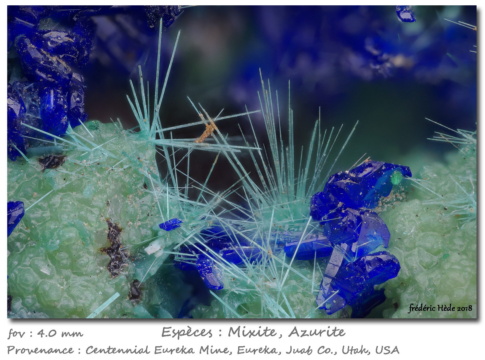 Mixite and Azurite
fov 4.0 mm
(Autor: ploum)