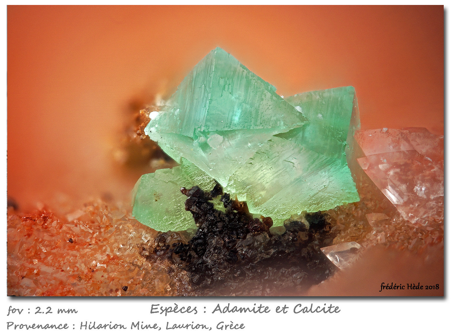 Adamite (variety cuprian)
fov 2.2 mm
(Autor: ploum)