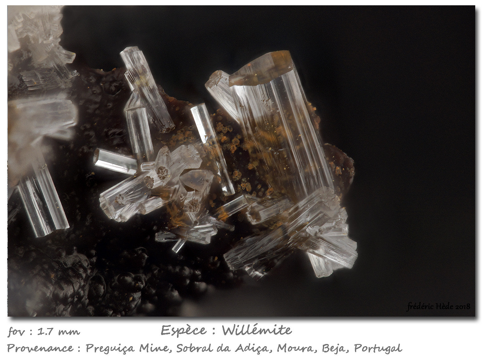 Willemite
fov 1.7 mm
(Autor: ploum)