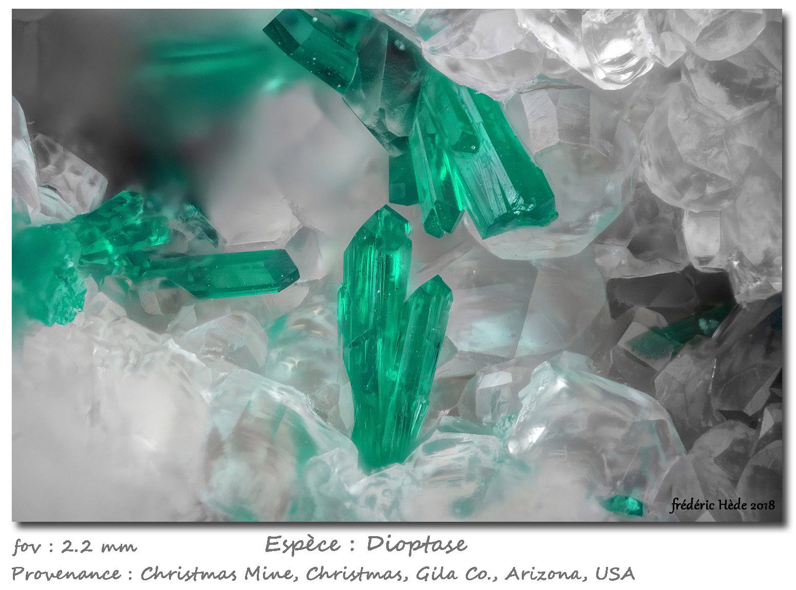 Dioptase
fov 2.2 mm
(Autor: ploum)