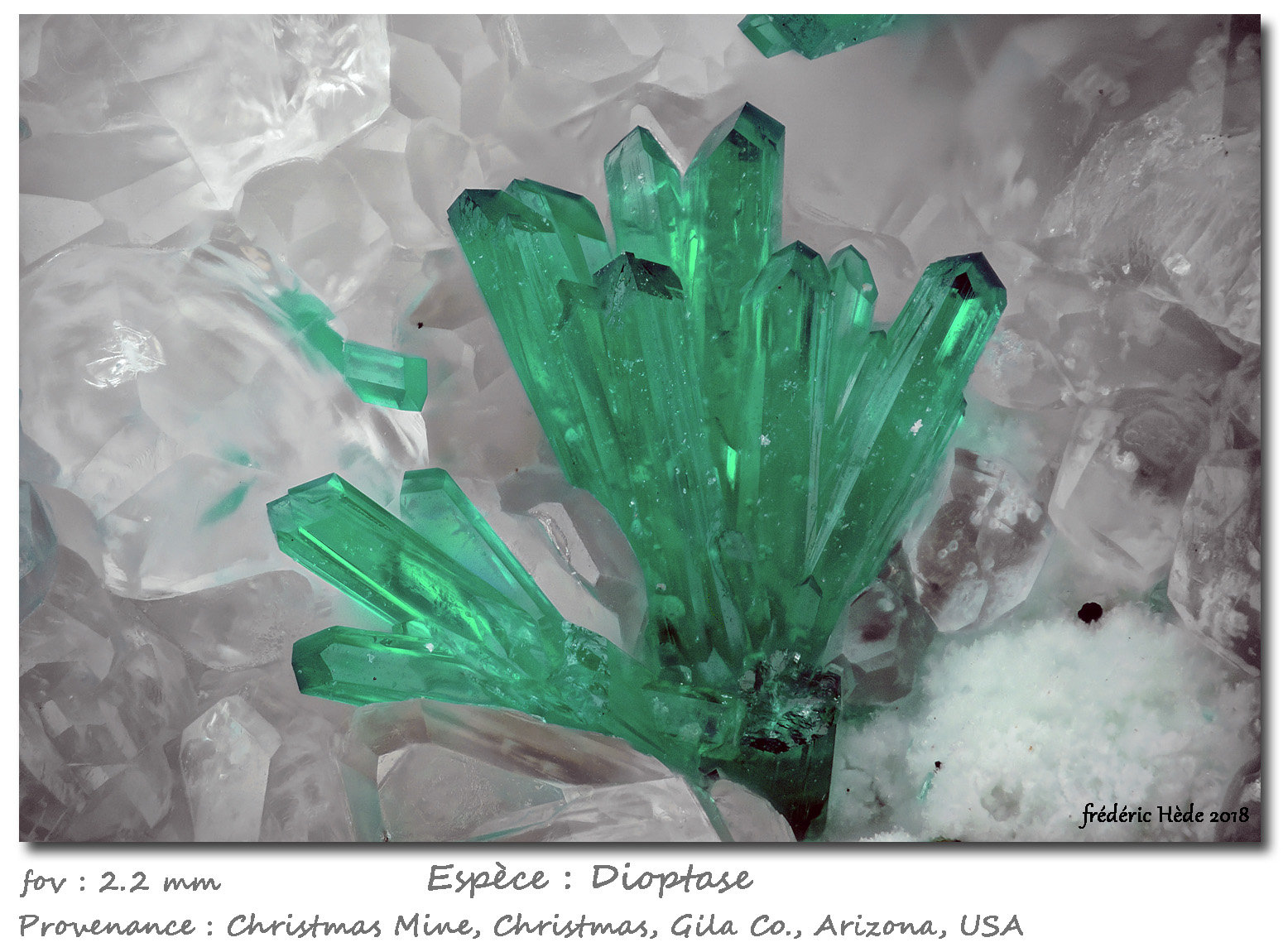 Dioptase
fov 2.2 mm
(Autor: ploum)