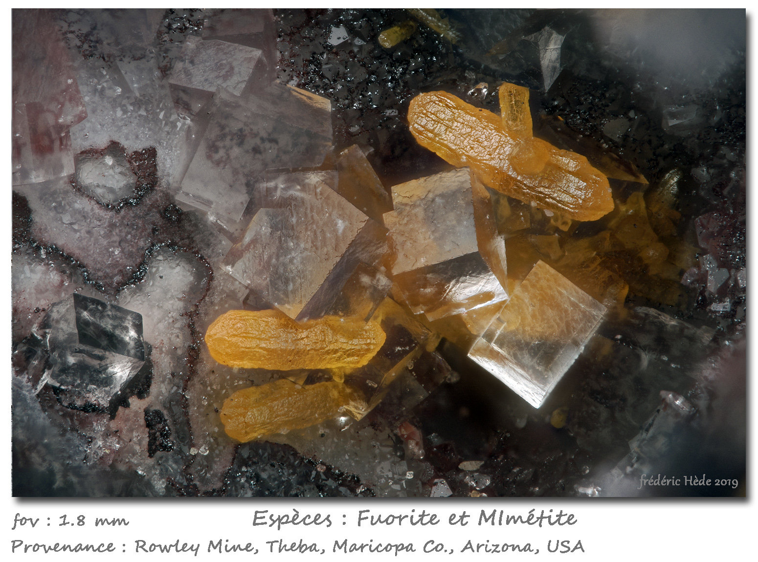 Fluorite and Mimetite
fov 1.8 mm
(Autor: ploum)