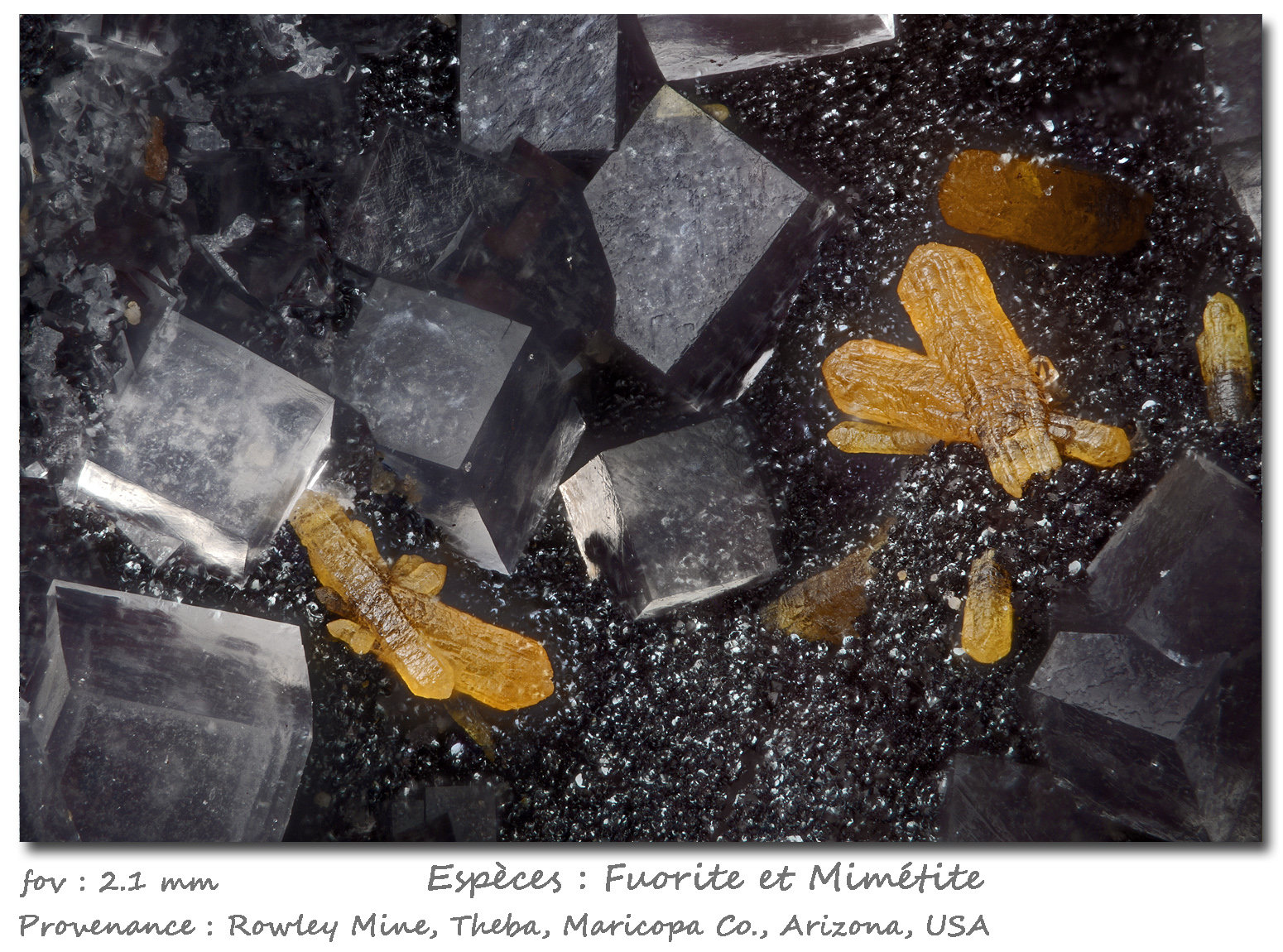 Fluorite and Mimetite
fov 2.1 mm
(Autor: ploum)