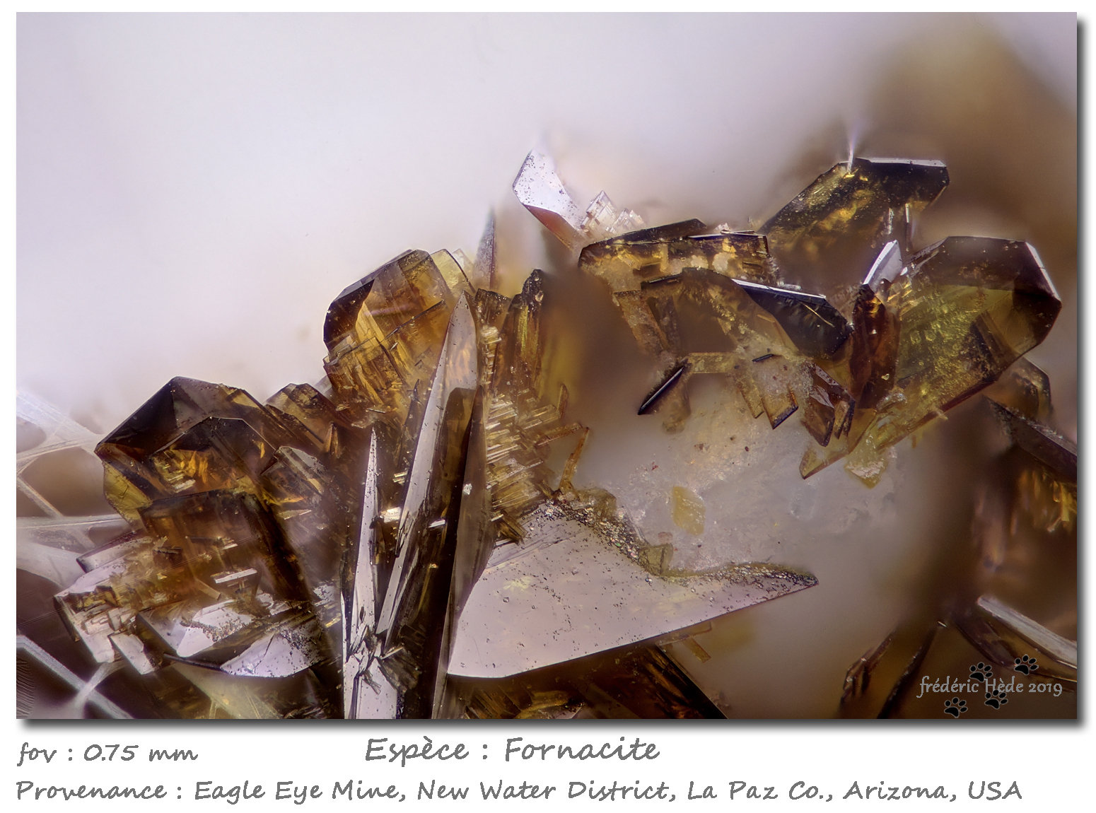Fornacite
fov 0.75 mm
(Autor: ploum)