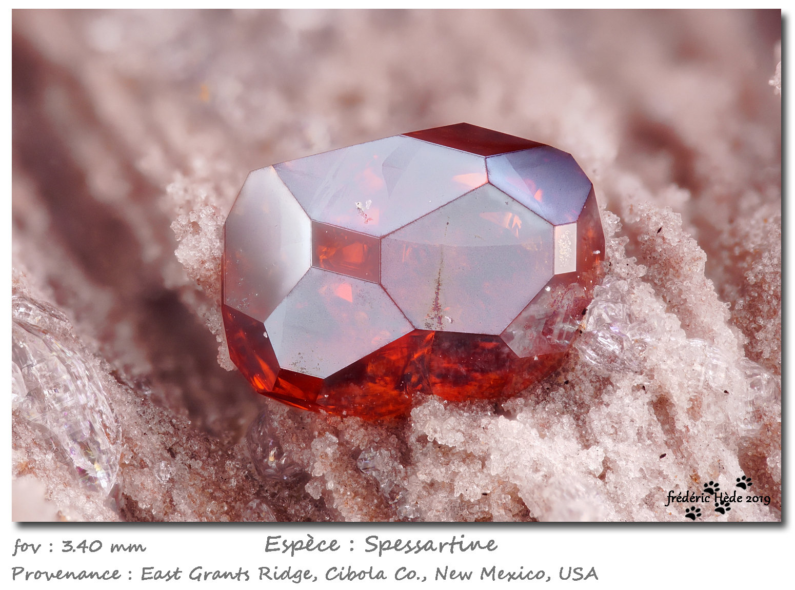 Spessartine
fov 3.4 mm
(Autor: ploum)