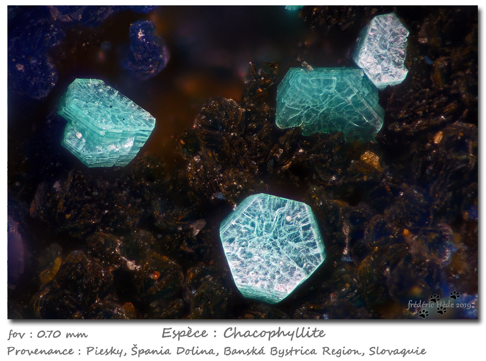 Chalcophyllite
fov 0.70 mm
(Autor: ploum)