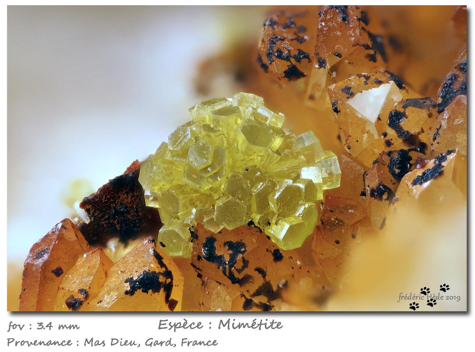 Mimetite
fov 3.4 mm
(Autor: ploum)