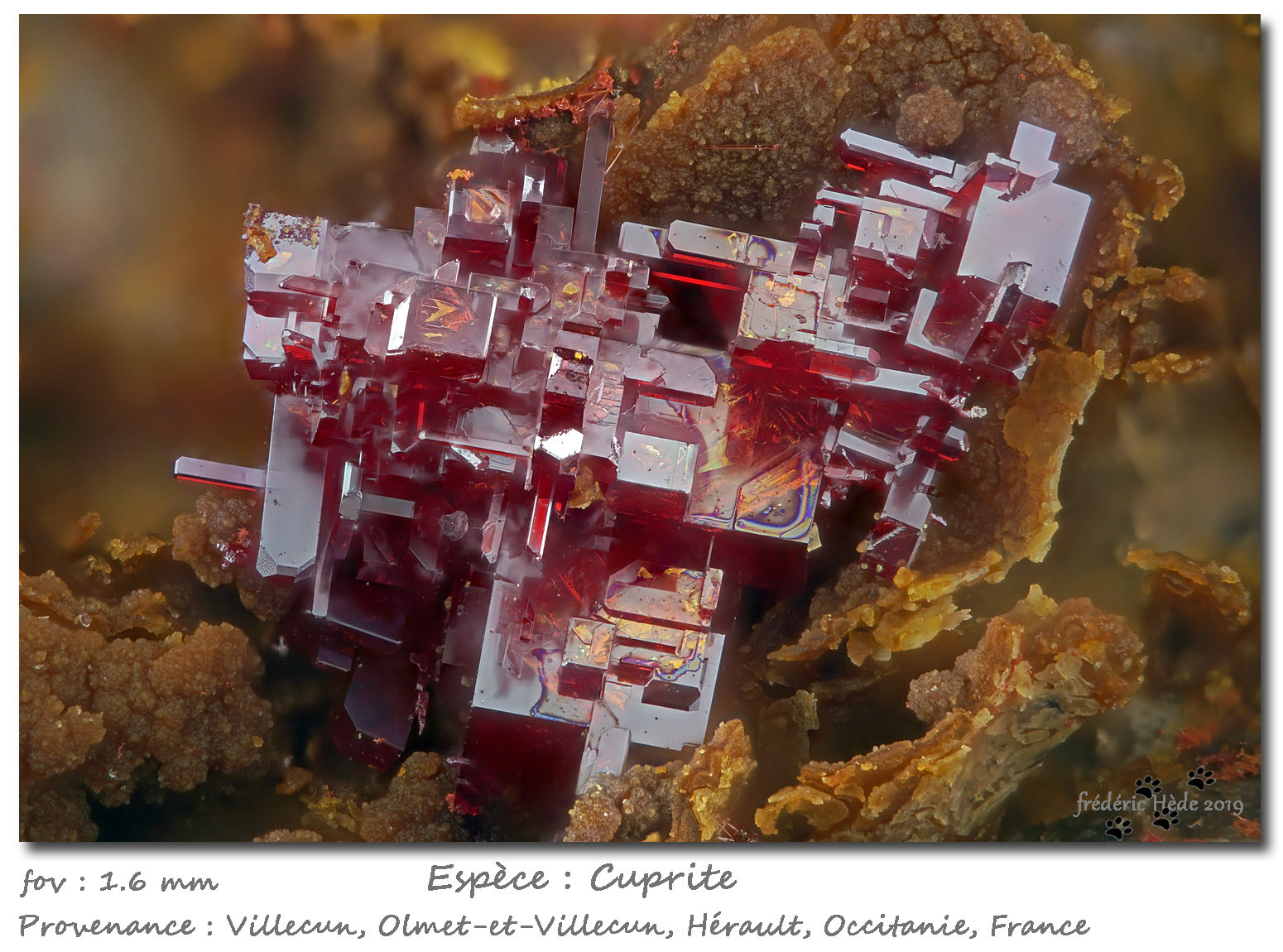 Cuprite
fov 1.6 mm
(Autor: ploum)