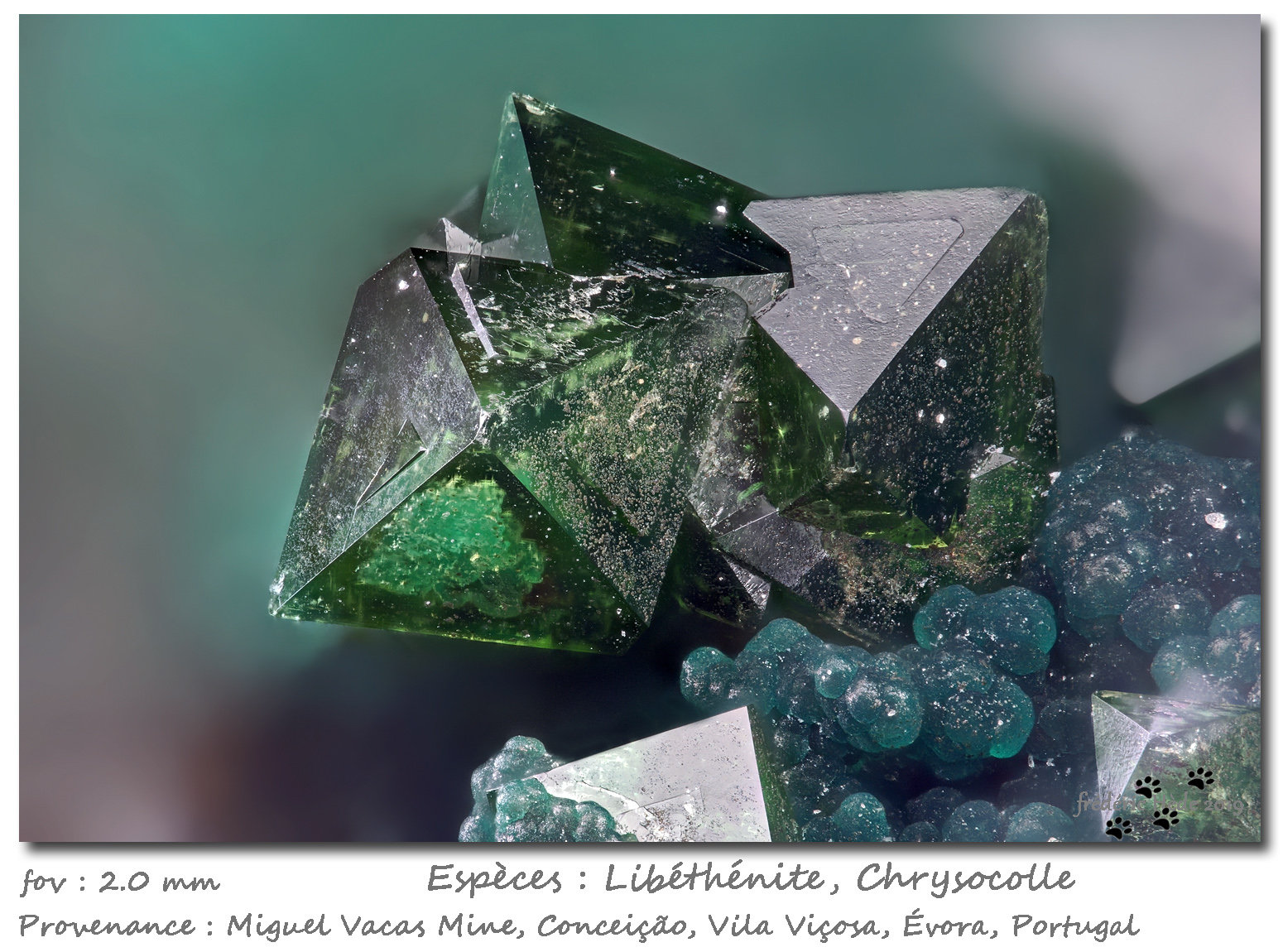 Libethenite
fov 2.0 mm
(Autor: ploum)