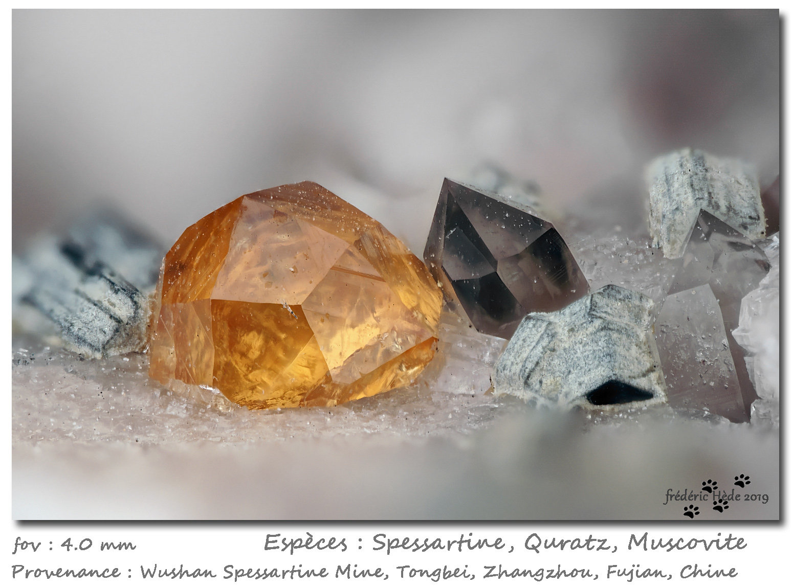 Spessartine, Quartz, Muscovite
fov 4.0 mm
(Autor: ploum)