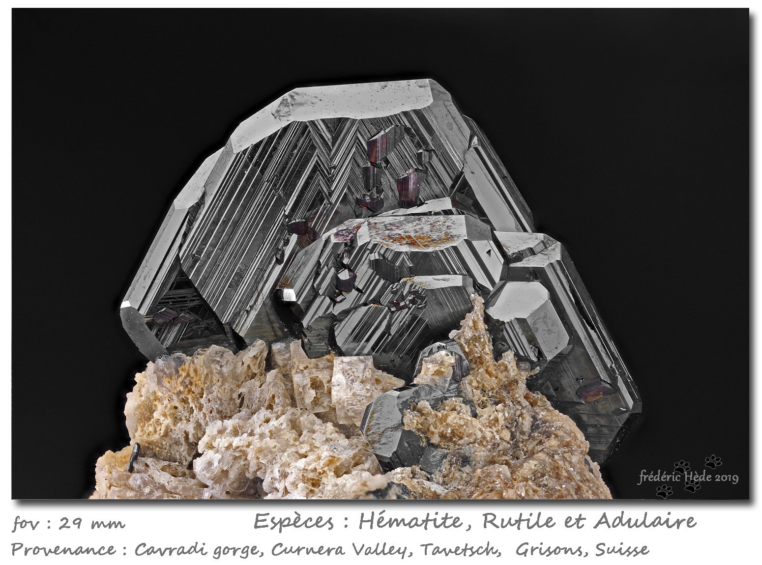 Rutile on Hematite and with Orthoclase (variety adular)
fov 29 mm
(Autor: ploum)