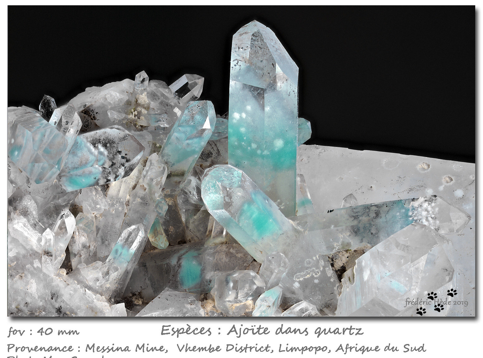 Ajoïte in quartz
fov 40 mm
(Autor: ploum)