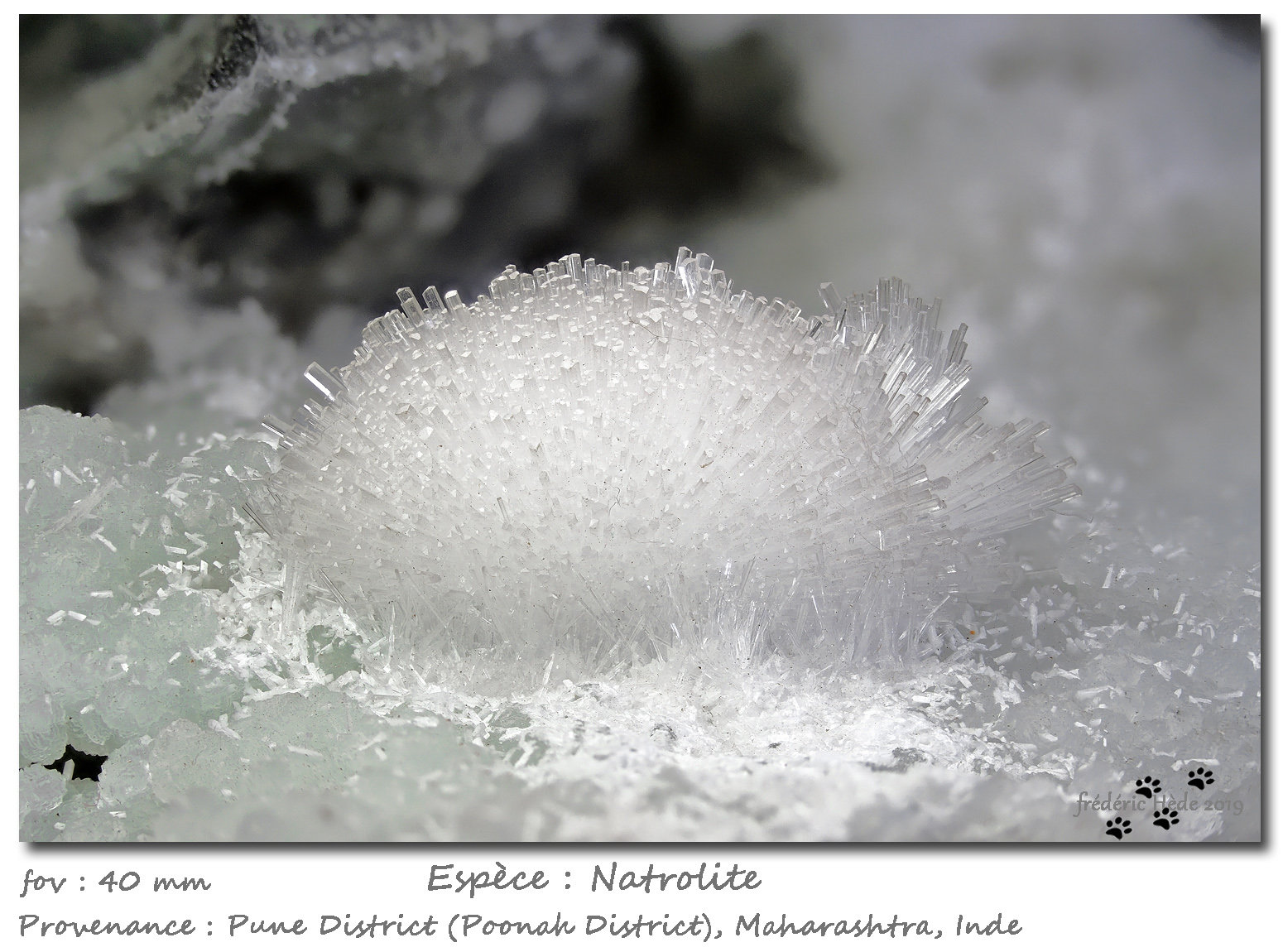 Natrolite
fov 40 mm
(Autor: ploum)